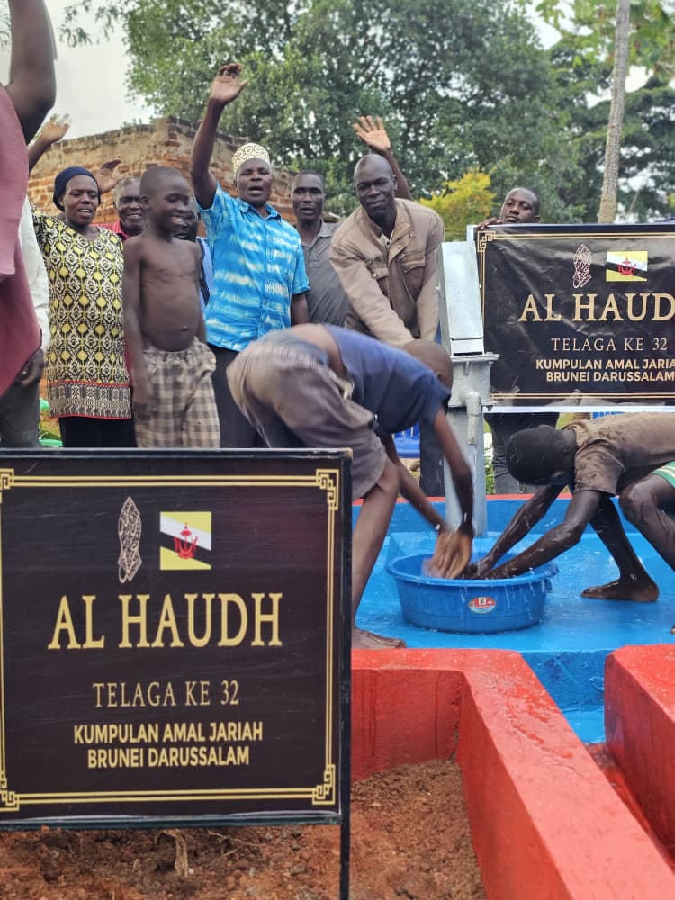 Water Well Project