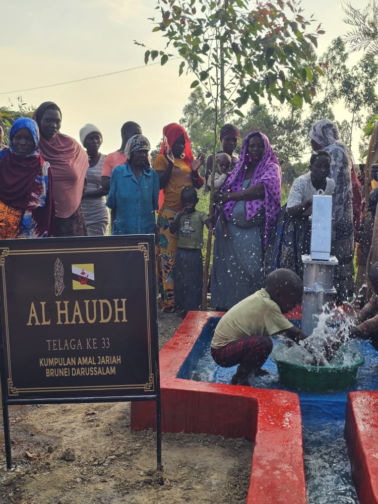 Water Well Project