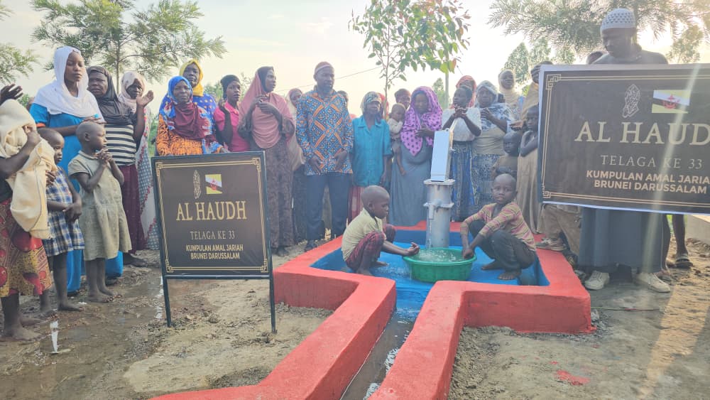 Water Well Project