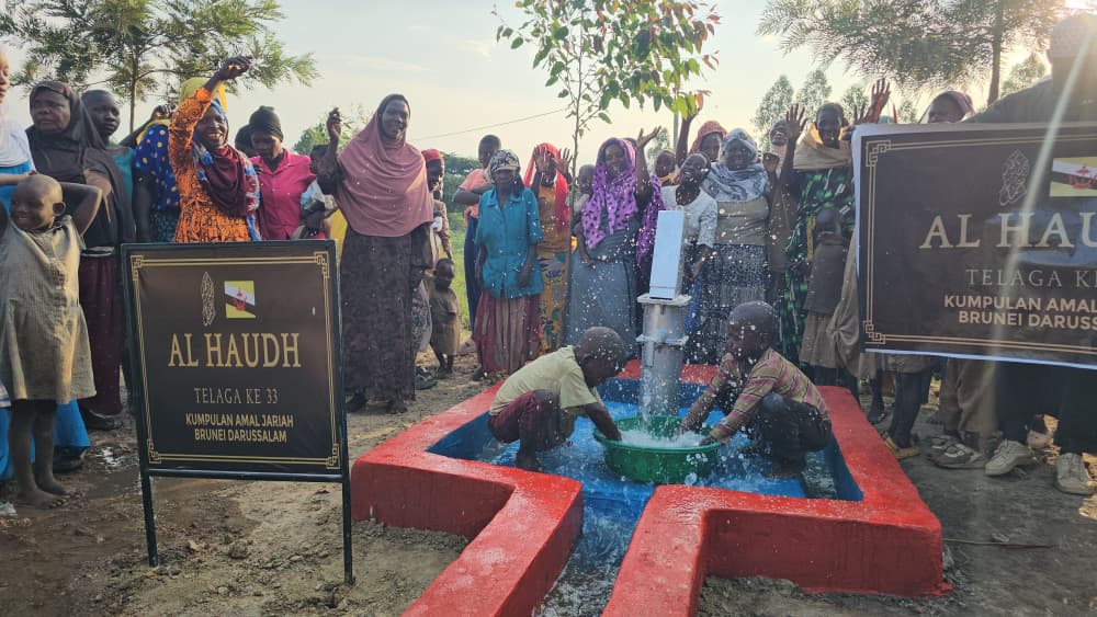 Water Well Project
