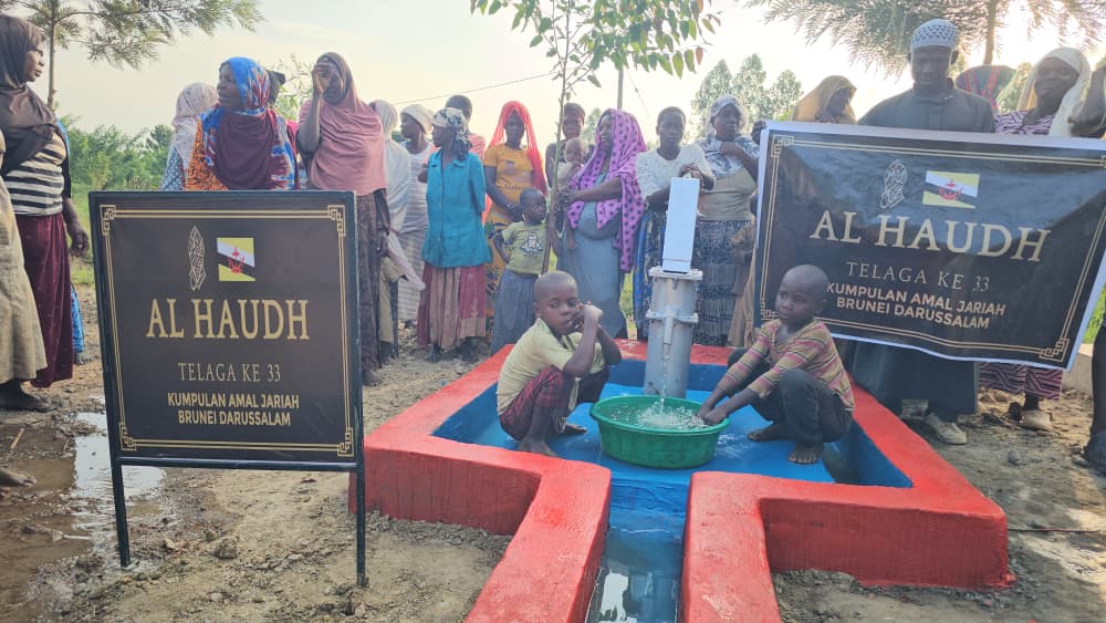 Water Well Project