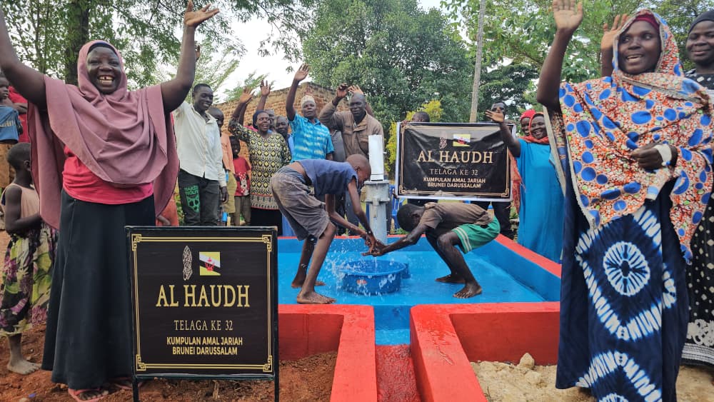 Water Well Project